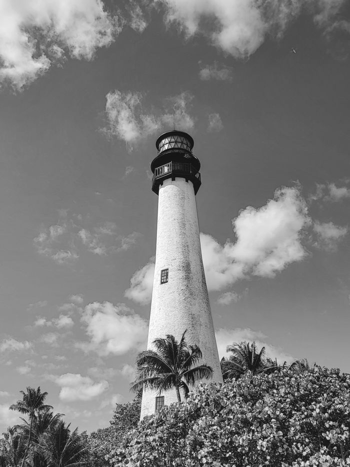 A striking black and white photo of a lighthouse surrounded by palm trees and clouds.